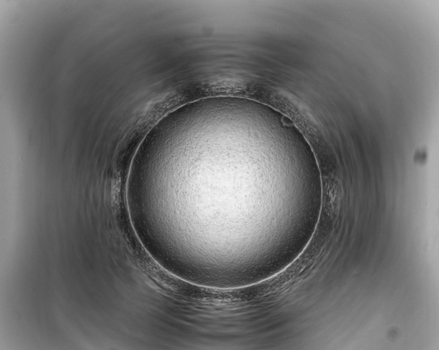 X0000099510745200805221422