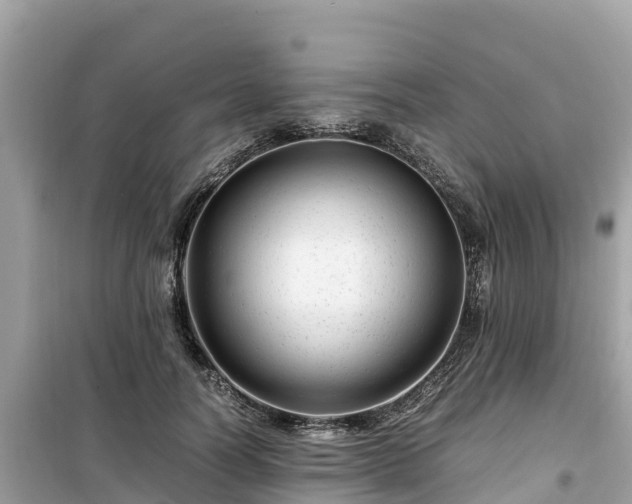 X0000099510746200805221422
