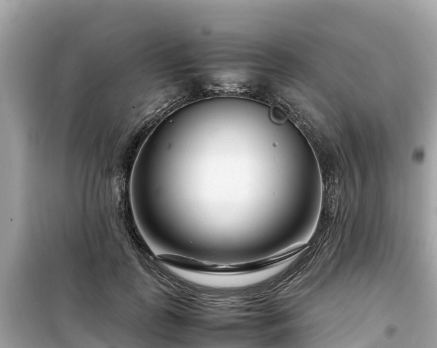 X0000099510747200805221422