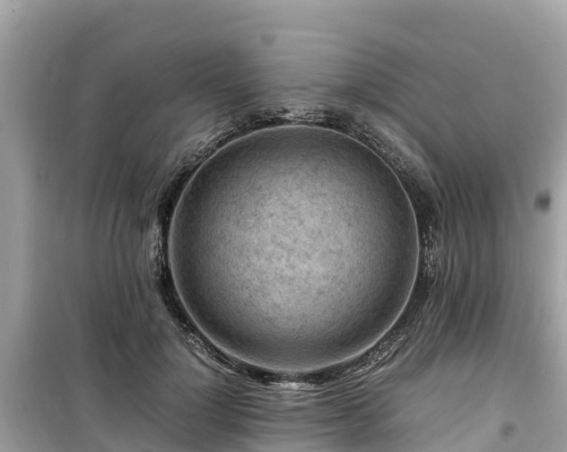 X0000099510748200805221422