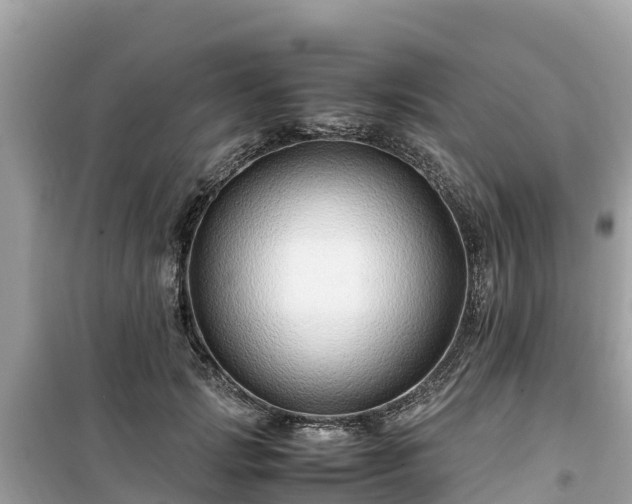 X0000099510749200805221422