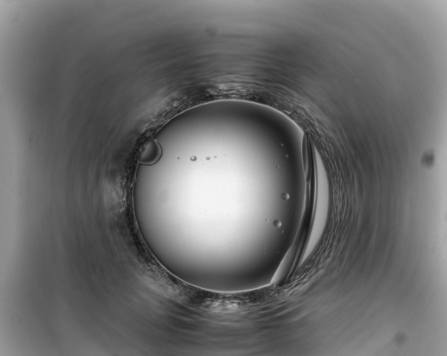 X0000099510751200805221422