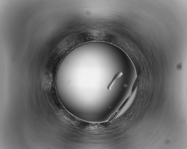 X0000099510752200805221422