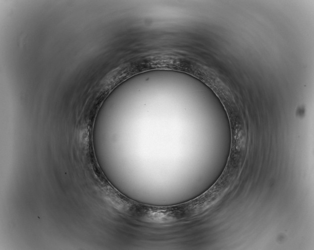 X0000099510753200805221422