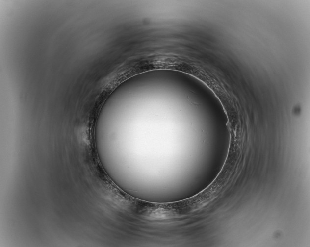 X0000099510755200805221422
