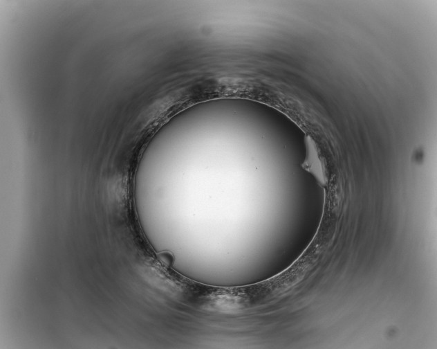 X0000099510756200805221422
