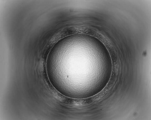 X0000099510757200805221422