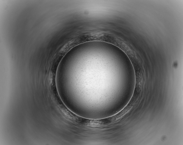 X0000099510758200805221422