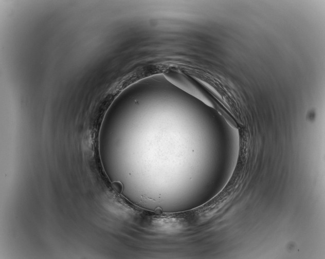 X0000099510759200805221422