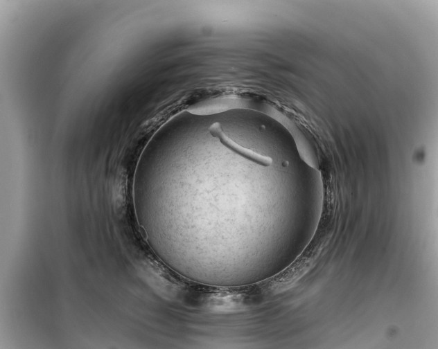 X0000099510760200805221422