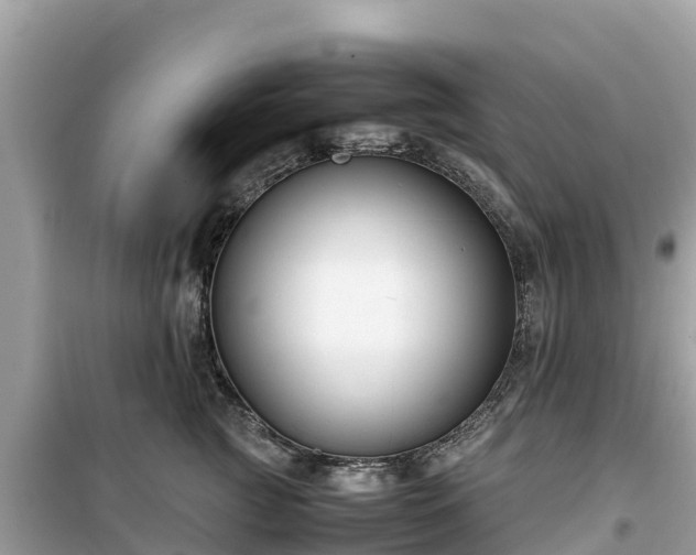 X0000099510761200805221422