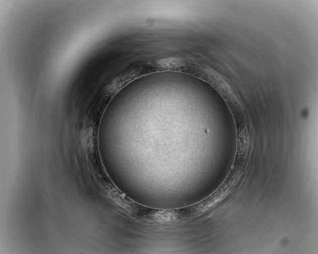 X0000099510762200805221422