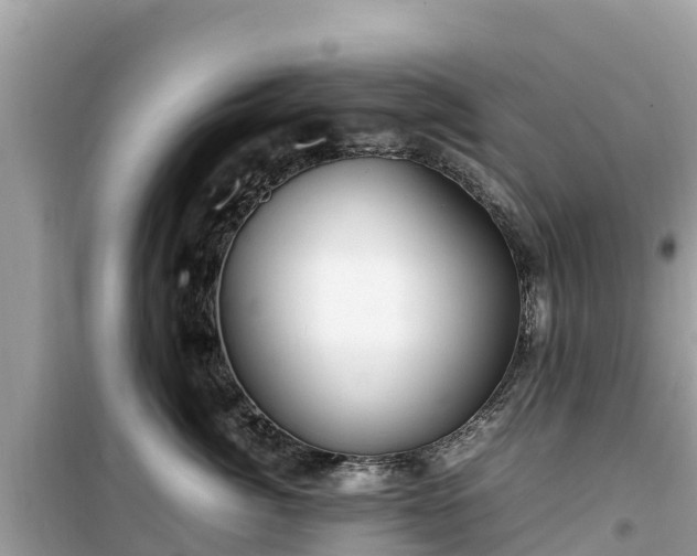X0000099510764200805221422