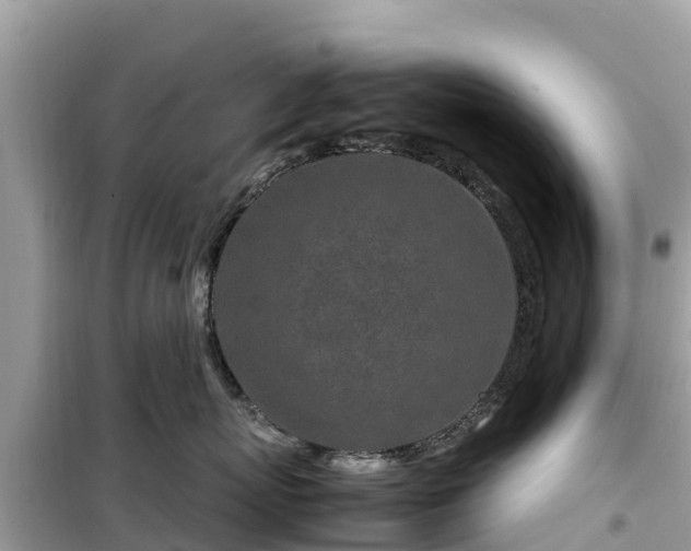 X0000099510767200805221422