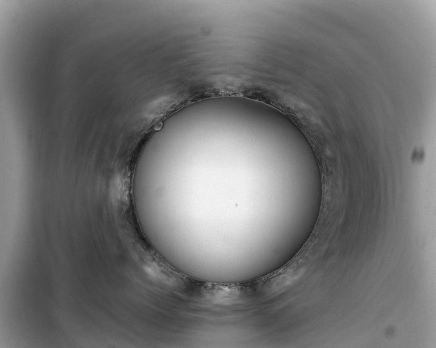 X0000099510768200805221422