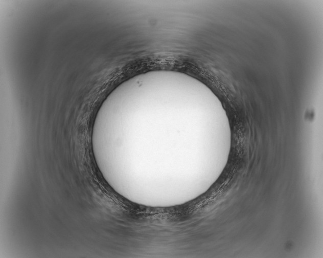 X0000099510769200805221421