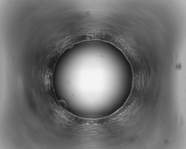 X0000099510770200805221421