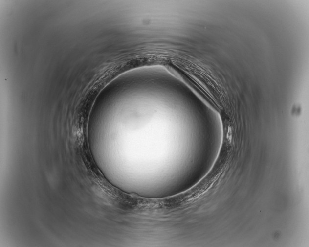 X0000099510771200805221421