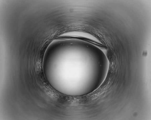 X0000099510772200805221421