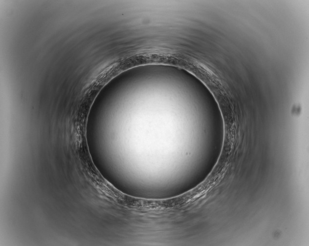 X0000099510774200805221421