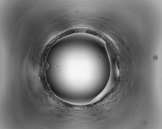 X0000099510775200805221421