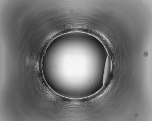 X0000099510777200805221421