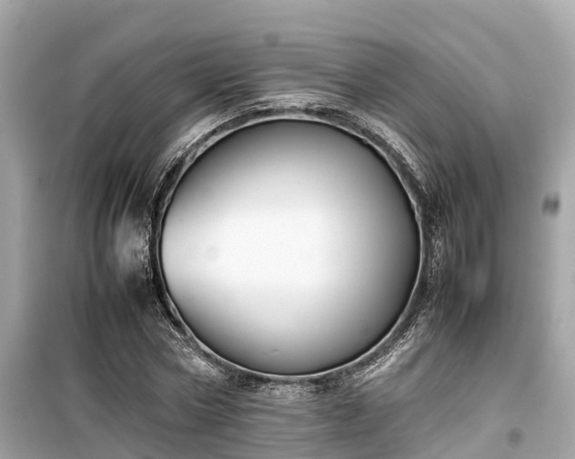 X0000099510778200805221421