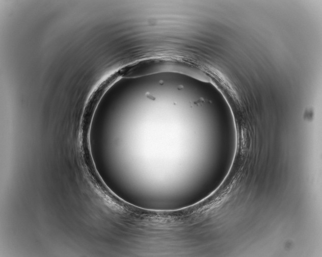 X0000099510780200805221421