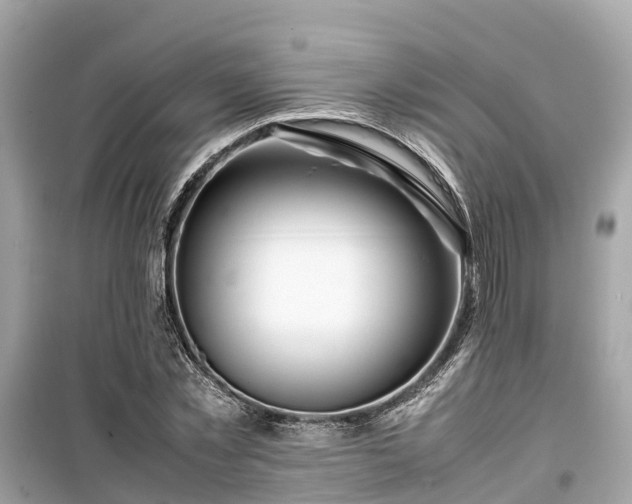 X0000099510781200805221421