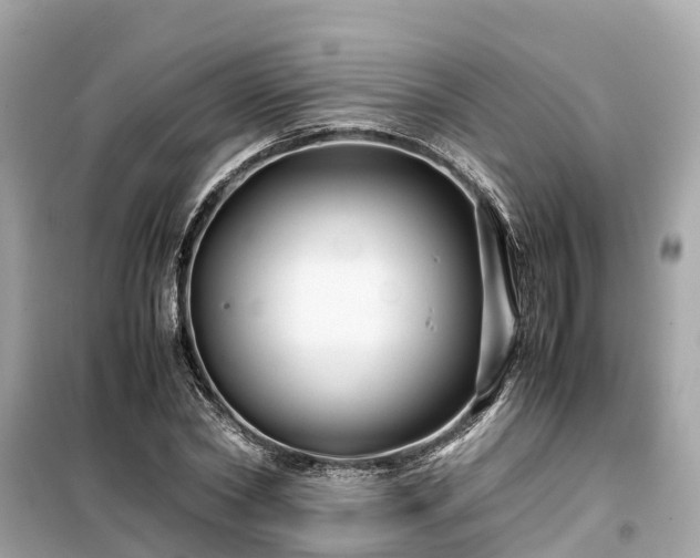 X0000099510782200805221421