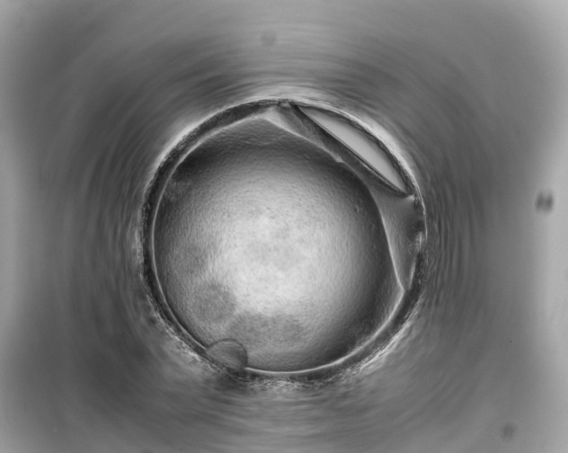 X0000099510783200805221421