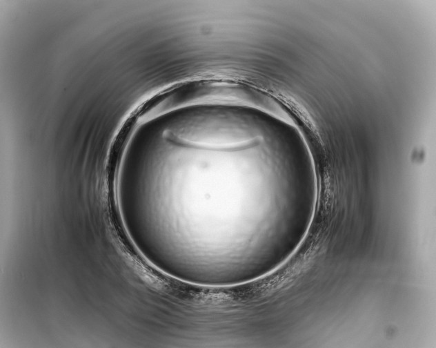 X0000099510784200805221421