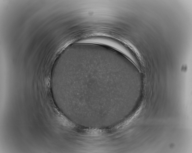 X0000099510785200805221421