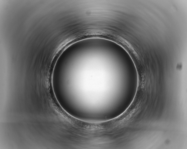 X0000099510786200805221421
