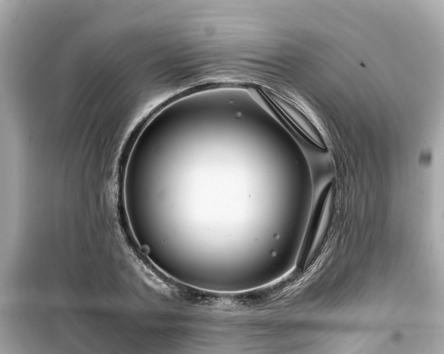 X0000099510787200805221421