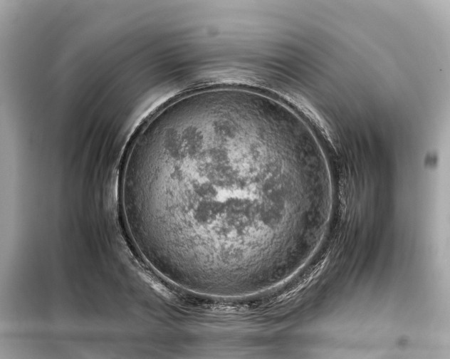 X0000099510790200805221421