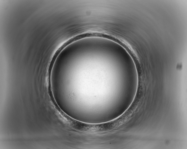 X0000099510791200805221421