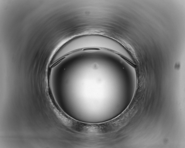 X0000099510792200805221421