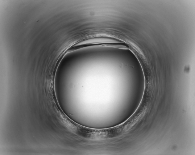 X0000099510793200805221421