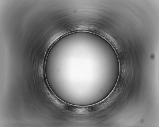 X0000099510794200805221421