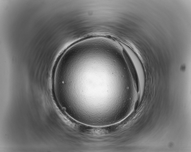 X0000099510795200805221421
