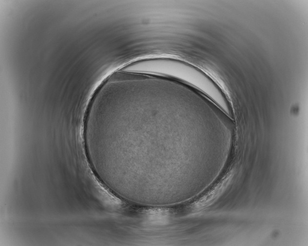 X0000099510797200805221421