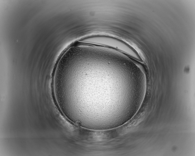 X0000099510799200805221421