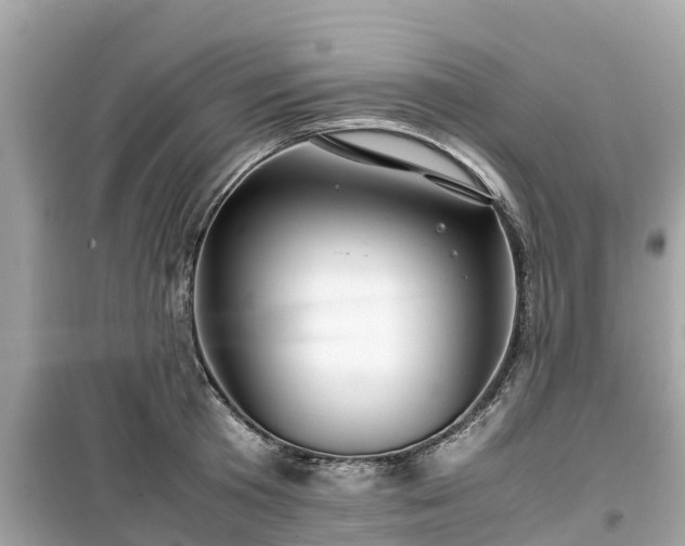 X0000099510801200805221421