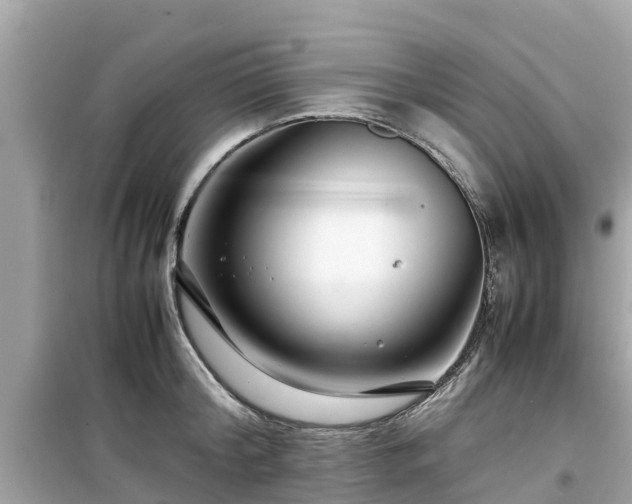 X0000099510804200805221421