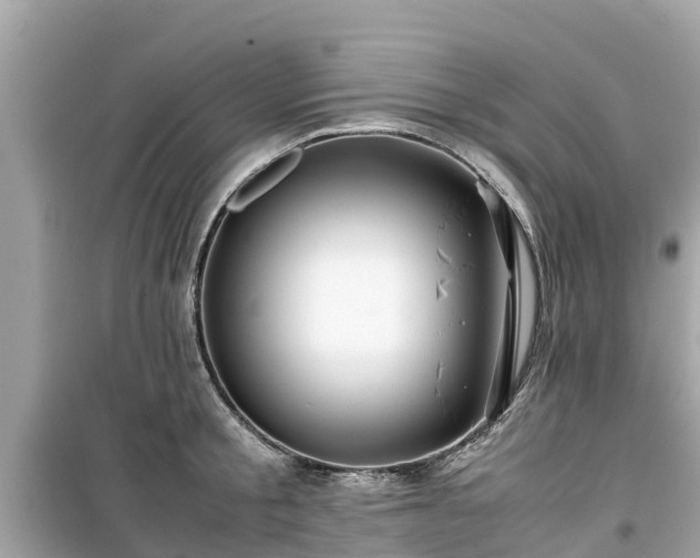 X0000099510805200805221421
