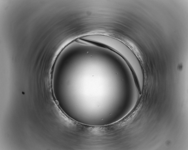 X0000099510808200805221421