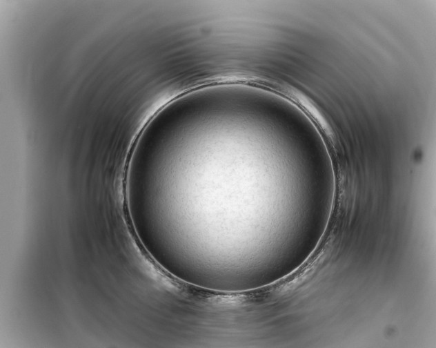 X0000099510810200805221421