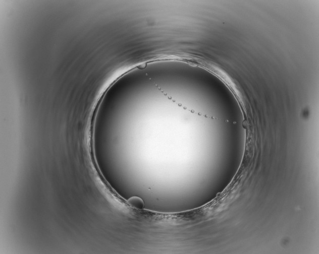 X0000099510811200805221420