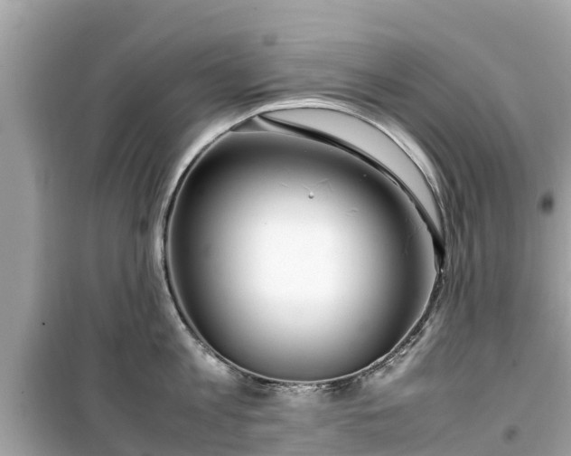 X0000099510813200805221420